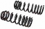 COIL SPRING SUSPENSION FRONT VW BEETLE 1302 1303 70-79
