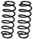 Rear Suspension Coil Spring Type 25 1980-1990