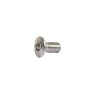 Door Hinge Screw Bolts Bay Camper 1968-1979